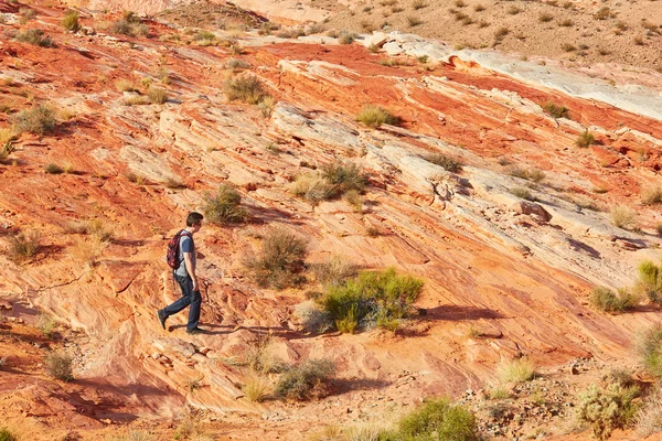 Séta a vörös sziklák, a tűz nemzeti par-völgy turisztikai — Stock Fotó