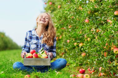 Genç kadın olgun organik elma toplama