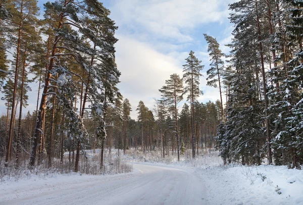 Strada di ingresso in un inverno . — Foto Stock