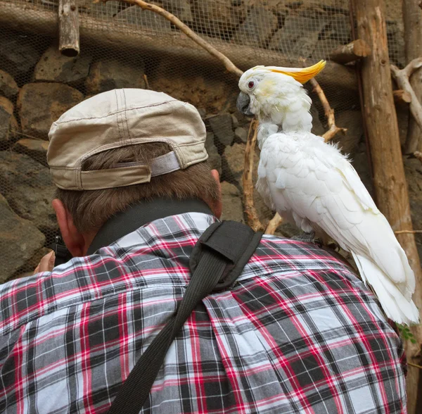 Photographer and parrot.