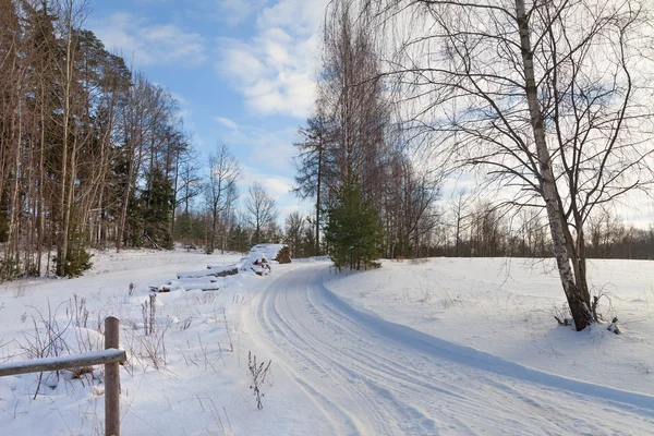 Contry road i en vinter. — Stockfoto