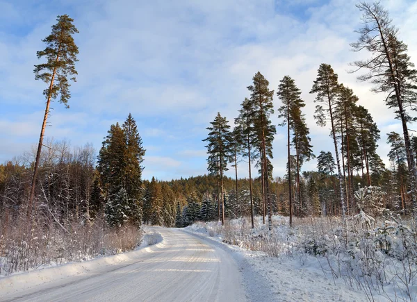 Contry road i en vinter. — Stockfoto