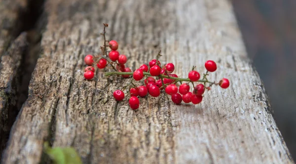 Rote Beeren auf einem hölzernen Hintergrund. — Stockfoto