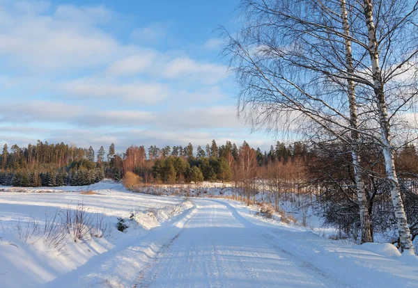 El camino de entrada en invierno . —  Fotos de Stock