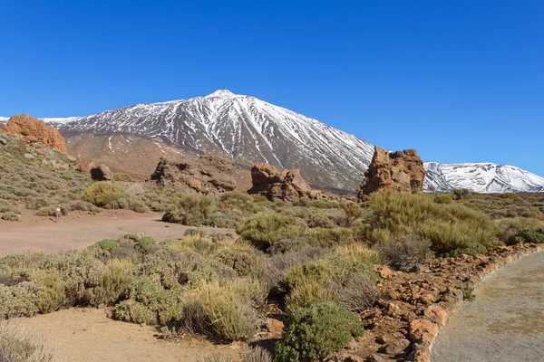 Blick auf den Teide. — Stockfoto