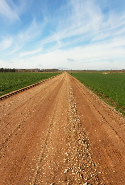 Route entre les champs . — Photo