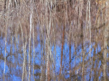 Su ayna görüntüsü.