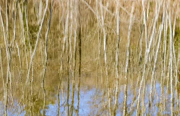 Immagine speculare nell'acqua . — Foto Stock