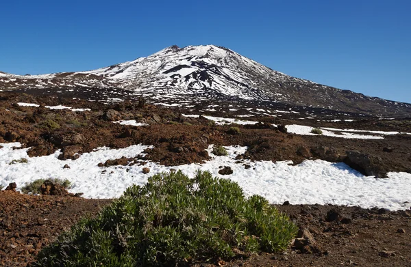 Vulkaan Teide in Tenerife, Canarische eiland. — Stockfoto
