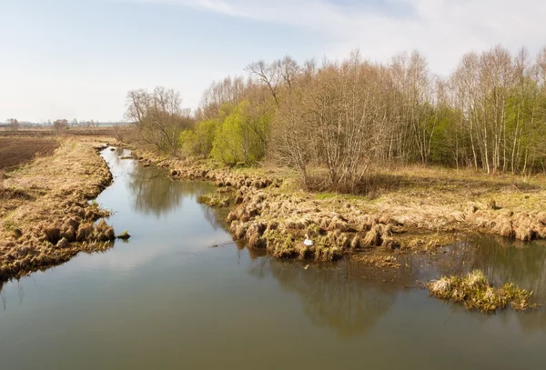 Abava Nehri Letonya. — Stok fotoğraf