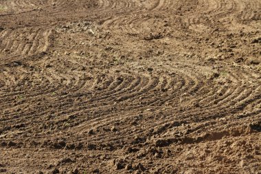 Bahar'ın sürülmüş alana.