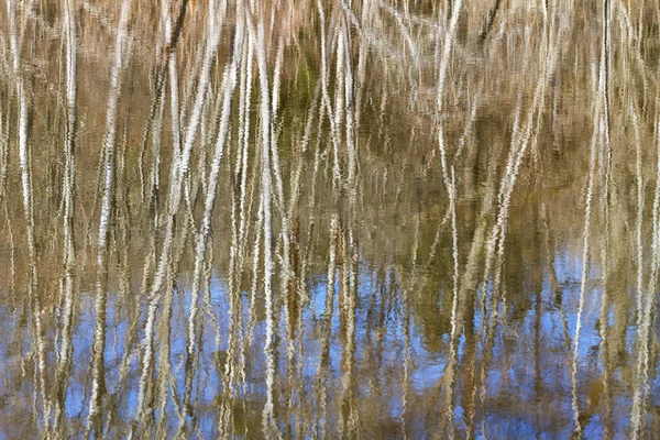 Immagine speculare nell'acqua . — Foto Stock