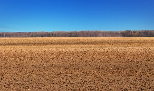 Gecultiveerd land in een veer. — Stockfoto