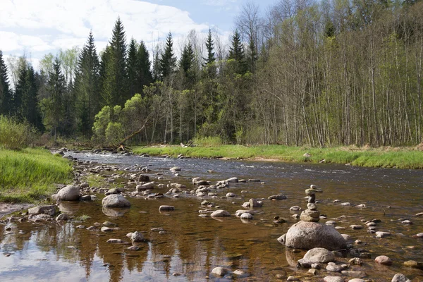 River Amata in Latvia. — Stock Photo, Image