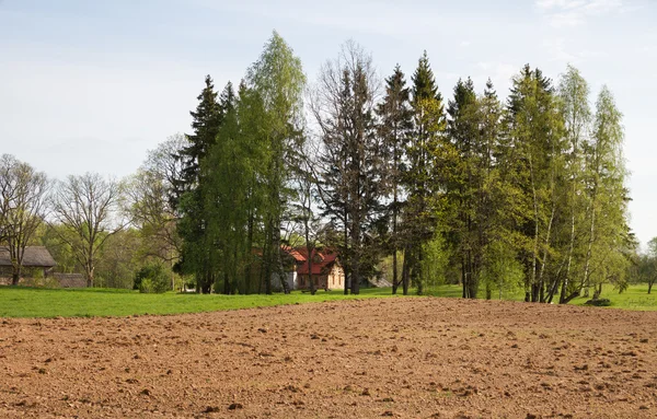 Paysage rural au printemps . — Photo