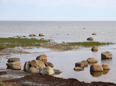 Taş Baltık Denizi.