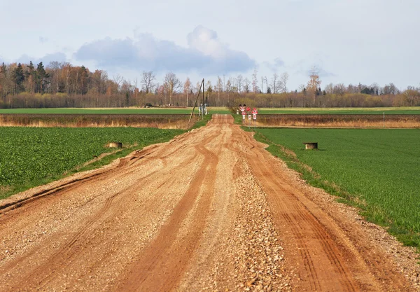 Landscape with railroad crossing. — Stock Photo, Image