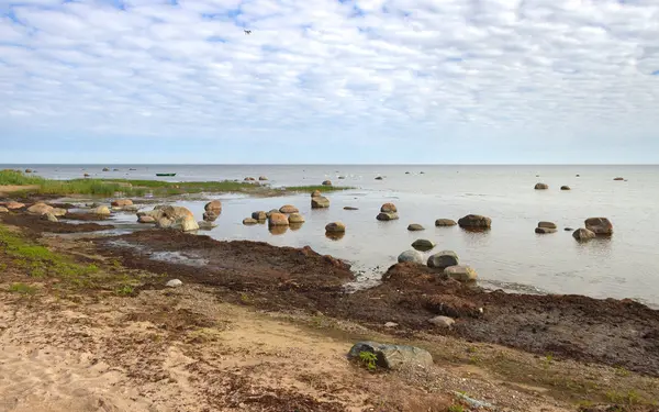 Камінь Балтійського моря . — стокове фото