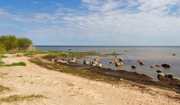 Stein Ostsee. — Stockfoto