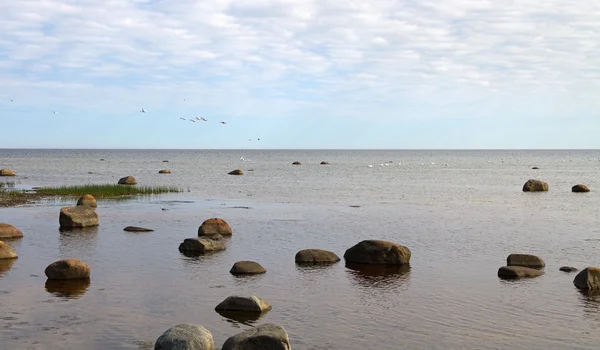 Kő Balti-tenger. — Stock Fotó