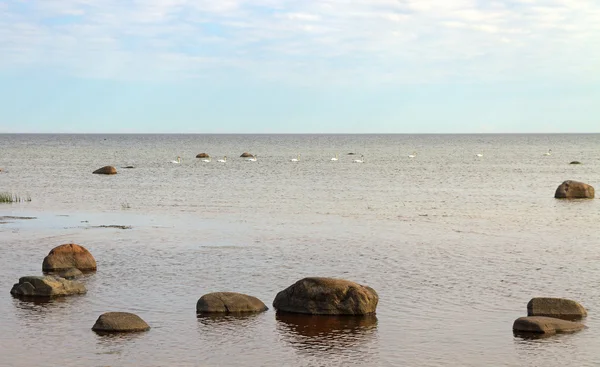 石バルト海. — ストック写真