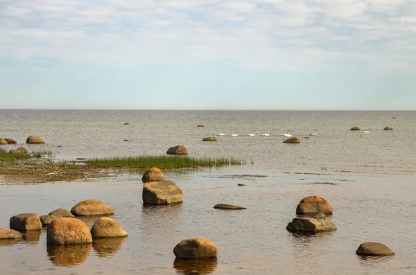 Stein Ostsee. — Stockfoto