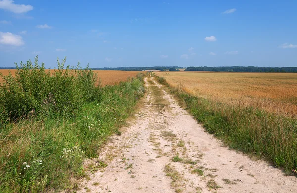 Route de campagne en gravier . — Photo