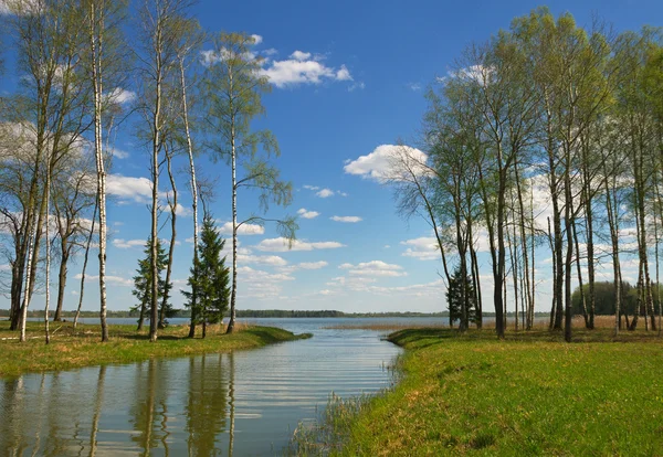 Frühlingsseenlandschaft. — Stockfoto