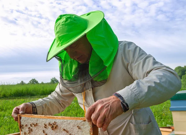Práce včelaře. — Stock fotografie