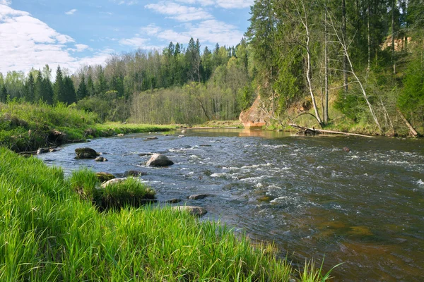 Rio rápido Amata . — Fotografia de Stock