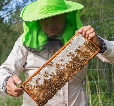Arıcı dışında çalışmalarını.