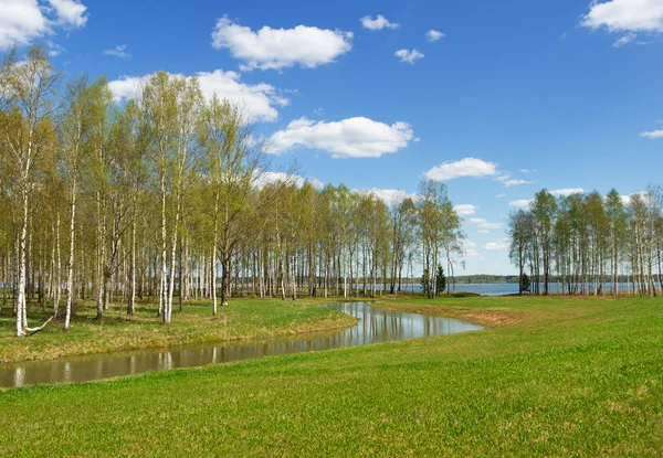 Spring lake landscape. — Stock Photo, Image