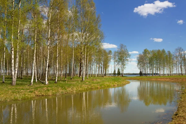Wiosna jezioro krajobraz. — Zdjęcie stockowe