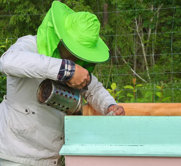 Lavoro di apicoltore . — Foto Stock