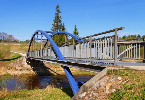 River landscape with metal bridge. — Stock Photo, Image