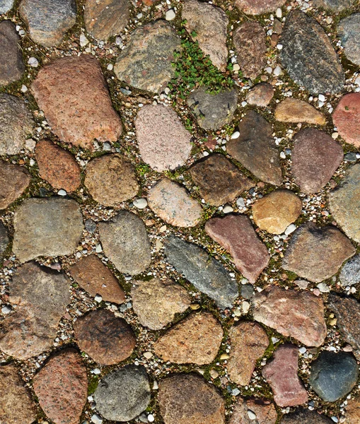 Cobbled pavement background. — Stock Photo, Image