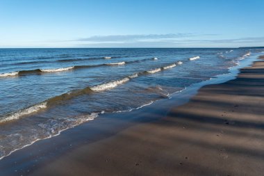 Baltık deniz kıyısına bak.