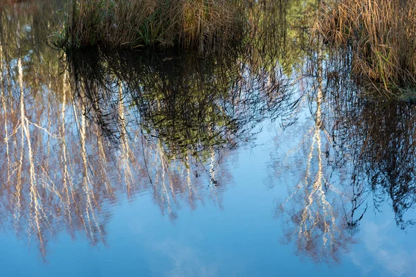 Lac Calme Naturel Avec Réflexion — Photo