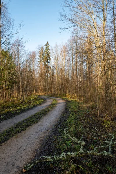 Narrow Curve Road Countryside — Stock Photo, Image