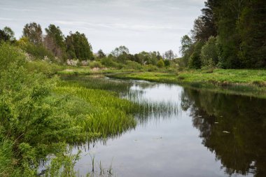 Sahilden küçük nehre bir pınar manzarası.