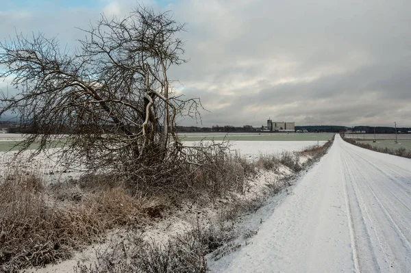 Krajina Podél Venkovské Silnice Zimě — Stock fotografie