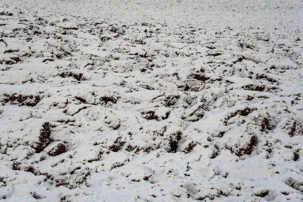 Vista Campo Arado Bajo Nieve —  Fotos de Stock