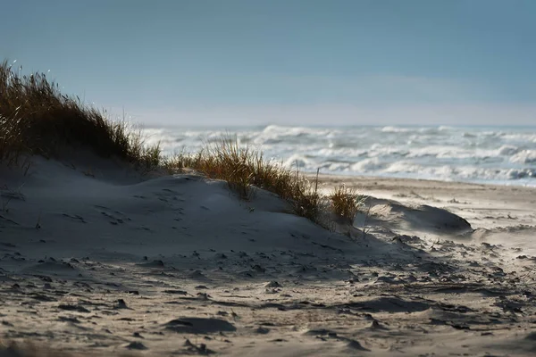 Paesaggio Con Dune Sabbia Sulla Costa Del Mar Baltico — Foto Stock