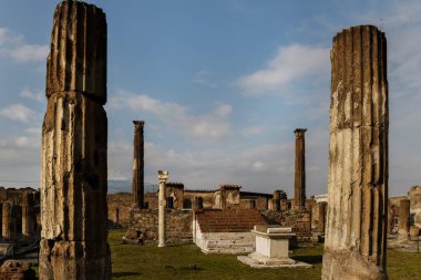 Pompeii harabelerine bakın.