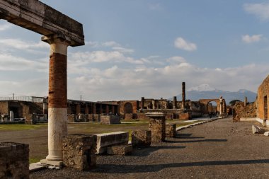 Pompeii harabelerine bakın.