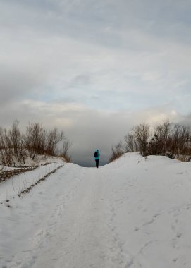 Baltık Denizi kıyısına bakın.