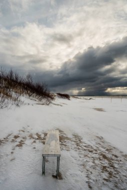 Baltık Denizi kıyısına bak.