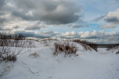 Baltık Denizi kıyısına bak.