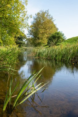 Huzurlu suyu olan küçük bir nehre bak..
