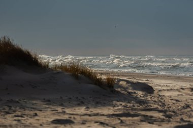 Dalgalı Baltık denizine bak. 